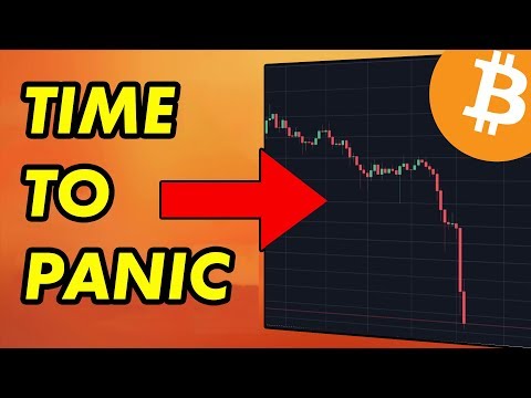 Time to Panic About Bitcoin | Cryptocurrency News