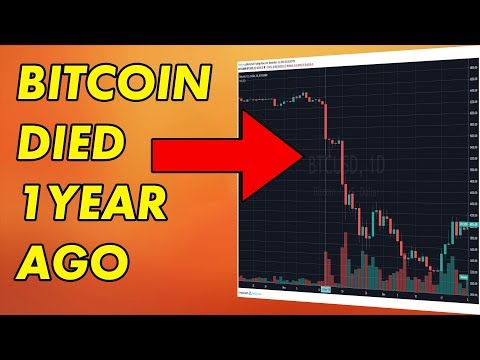 Bitcoin Died One Year Ago | Cryptocurrency News