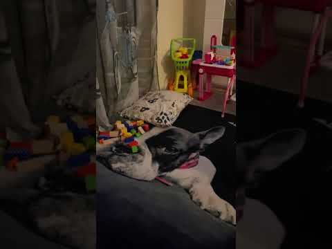 Tap 2 Earn Member @Saruy Review | Best Way To Make Money Online