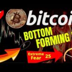 🔥 BITCOIN BOTTOM FORMING? (SH!T COIN SHILLERS)🔥bitcoin price prediction, analysis, news, trading,