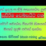 Earn money online jobs Sinhala/free Bitcoin mining website video hashrapid #IP com#
