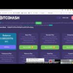 BitcoHash Payment Proof (0.022 BTC) | BitcoHash review Legit Or Scam