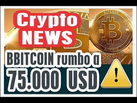 noticias bitcoin urgente niveles clave del  precio