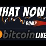 WILL BITCOIN SURVIVE THIS DUMP??? LOOKING GOOD!✔️
