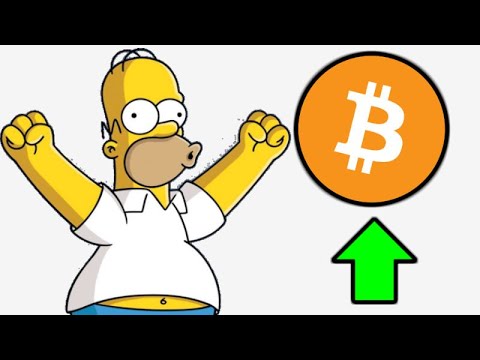 The Simpsons Crypto TV Episode Frinkcoin - Mainstream Crypto Adoption - Bitcoin Bull Run 1000 Days