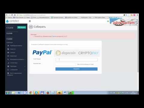 Cointellect Мой опыт Выплаты и прибыль этого сервиса! - Make Money Online