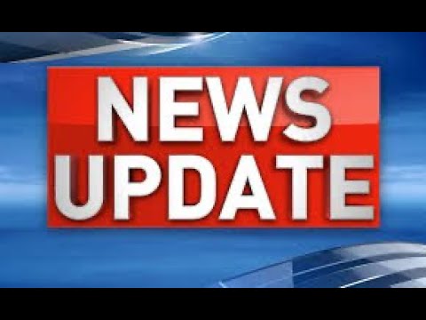 The "Greater Fool Theory", Bitcoin, MGI, Ripple & XRP Price & News!