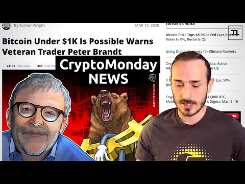 Cosa succederà ora a BITCOIN? - CryptoMonday NEWS w11/'20