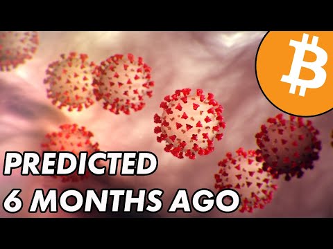 Outbreak Predicted 6 Months Ago | Bitcoin and Cryptocurrency News