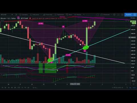CTT Bitcoin & cryptocurrency Bull Break Bearish Butterfly technical analysis news TA Crypto Market