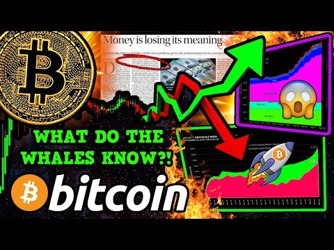 BITCOIN: Stablecoins UP 25%!!! WTF?! GOOD News & BAD News: HUGE ECONOMIC SHIFT?