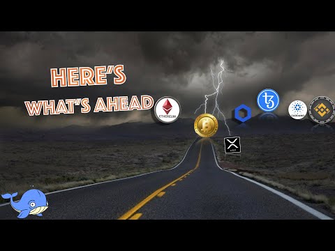 Bitcoin HALVING, Bull RUN, Global Economy. What Can History Tell Us? The SIGNS Are ALL AROUND US!