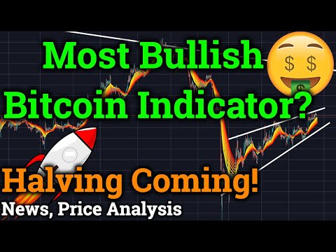 MOST BULLISH Bitcoin Indicator?! BTC Halving! (Cryptocurrency News, Price Analysis, Bybit Trading)