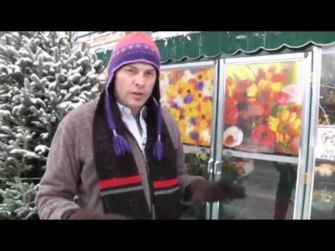 Musk Finance - 12 Days of Bitcoin: Taking it to the Streets