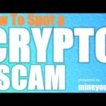 🤔How To Spot A Crypto Scam 🕵 (w/NrdGrl007)