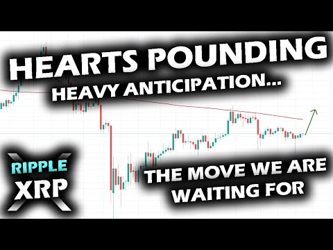 CLARITY IS COMING on the Ripple XRP Price Chart and Bitcoin