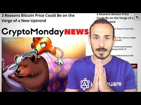 L'Orso si è addormentato? BITCOIN - CryptoMonday NEWS w23/'20