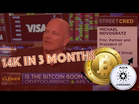 Galaxy Digital CEO, Mike Novogratz: Bitcoin to 14k in 3 MONTHS! CARDANO NEWS - STAKING EXPLOSION!