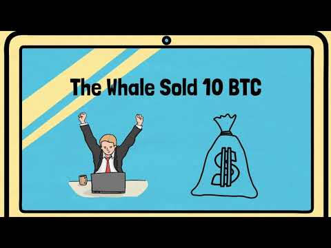 Crypto Whiteboard Animation, Crypto News, Crypto Market Update, Bitcoin News.
