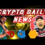 Crypto Daily News, Nimiq,  Dragonchain, Divi and More Plus the Daily Crypto Giveaway!