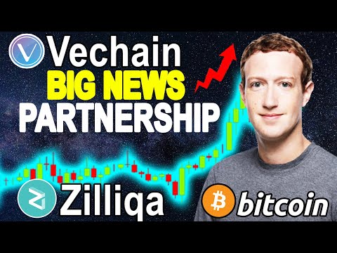 Vechain (VET) HUGE New PARTNERSHIPS ! Zilliqa (ZIL) New MODULAR Network ! Bitcoin (BTC) BULL MARKET