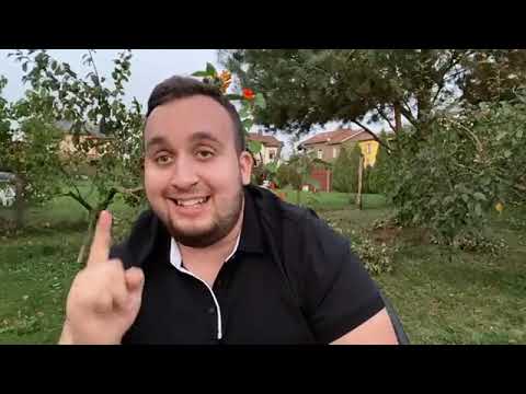 How To Start A Business With No Money, Make Money Online, Amazon Fba