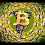 Bitcoin could flippen PayPal on bullish news from    PayPal