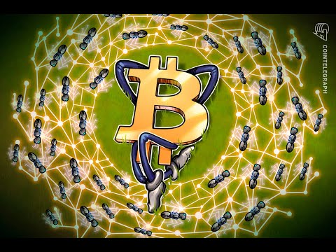 Bitcoin could flippen PayPal on bullish news from    PayPal