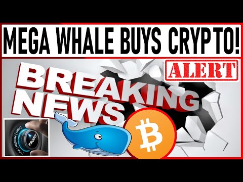 TD AMERITRADE SAYS BUY BITCOIN! MEGA WHALE BUYS $300m IN CRYPTO! MAX YOUR CRYPTO PROFITS WITH THIS!