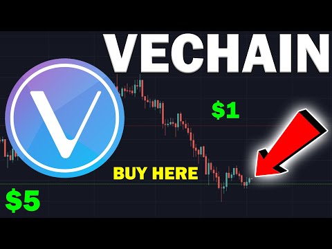 HUGE CRYPTO NEWS: What Will Happen to VeChain (VET)? Still Worth it? $1