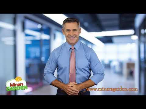 MinersGarden.com - crypto mining farms IT Manger Speaking