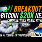 $20K BITCOIN THIS WEEKEND?! 🚨 CORPORATIONS PANIC BUYING BITCOIN! ETHEREUM 50% PUMP INBOUND?!