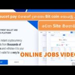 Faucetpay_Account එකෙන්ම දිනපතා Bitcoin හොයමු ... _ CNCS EPOM SCHOOL_ONLINE JOBs Video 02