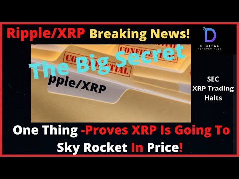 Ripple/XRP-SEC News,BItcoin New All Time High $25,000,OneThing-How You Know XRP Is Going To The Moon