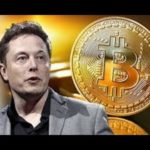Breaking News Elon Musk on bitcoin Cryptocurrency Is Potentially The Cash Of The Future