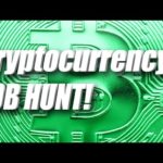 CRYPTOCURRENCY JOB HUNT & WHAT TO AVOID!