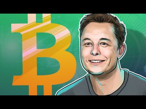 Elon Musk adds Bitcoin to Twitter bio with 43.7M followers