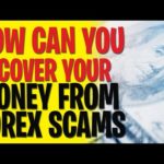 FOREX SCAMS | How to go about recovering money from a Forex scam legally - Forex Trading Strategies