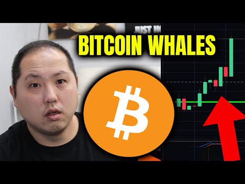 WOAH!! LOOK AT WHAT THE BITCOIN WHALES ARE DOING!!!