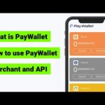 img_86710_what-is-paywallet-how-to-use-paywallet-merchant-and-api-paywallet.jpg
