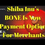 Breaking Crypto News | Shiba Inu’s BONE Is Now Payment Option For Merchants