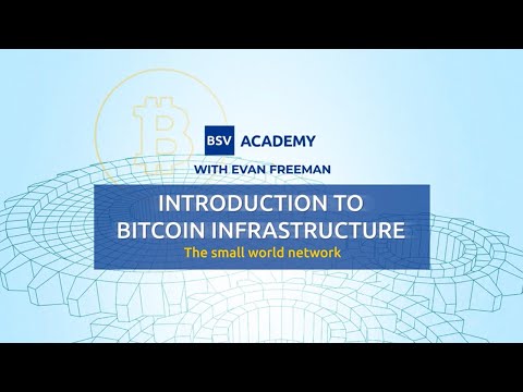 The small world network: merchant API | Introduction to Bitcoin Infrastructure