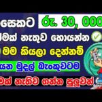Online Jobs From Home | Free E Money Site Sinhala | passive Income Sinhala