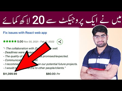 How To Make Money Online 2023 | How I made money online | 20 Lakh | Online earning 2023 | Ziageek