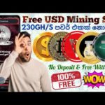 Free USD Mining 2022 | Online Jobs at Home | How to Make Money Online | E money 2022