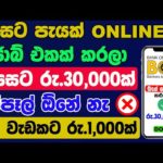 Online Jobs At Home Part Time | Online Passive Income Sinhala | New E Money Site Sinhala