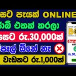 img_87046_online-jobs-at-home-part-time-online-passive-income-sinhala-new-e-money-site-sinhala.jpg