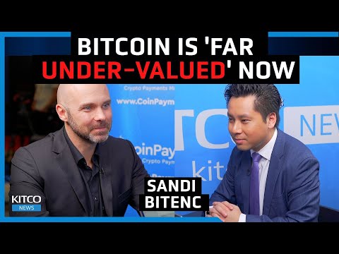 Bitcoin will become 'reserve currency', it is 'deflationary' - Sandi Bitenc