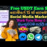 Free USDT  Earn Site 2022 | Online Jobs at Home | How to Make Money Online | Emoney 2022