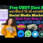 img_87416_free-usdt-earn-site-2022-online-jobs-at-home-how-to-make-money-online-emoney-2022.jpg